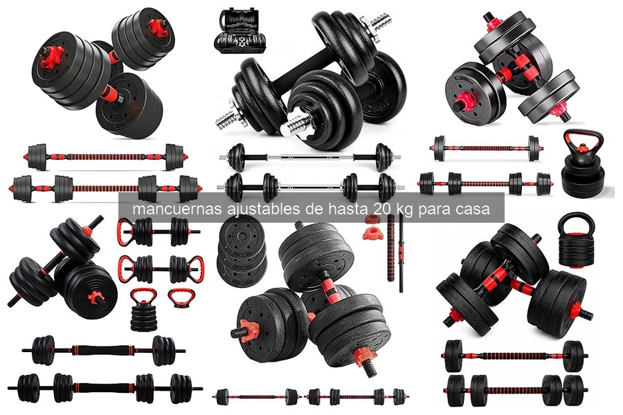 Mejores mancuernas ajustables de hasta 20 kg para casa